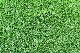 What Is The Best Artificial Grass In Australia?